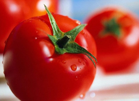 فروش گوجه فرنگی رودبار جنوب + قیمت خرید به صرفه
